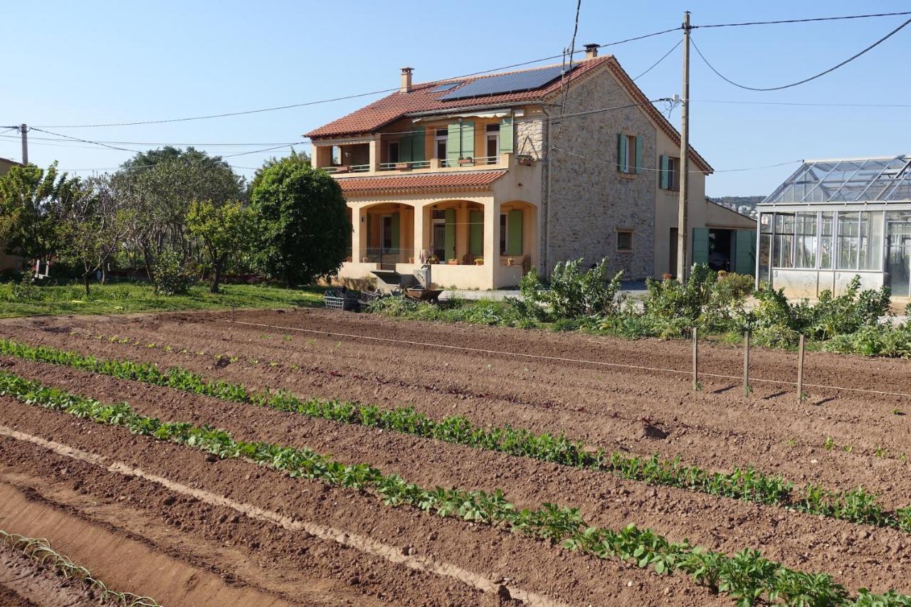 Gîte du Pagoulin - Gîte Hyères Extérieur photo