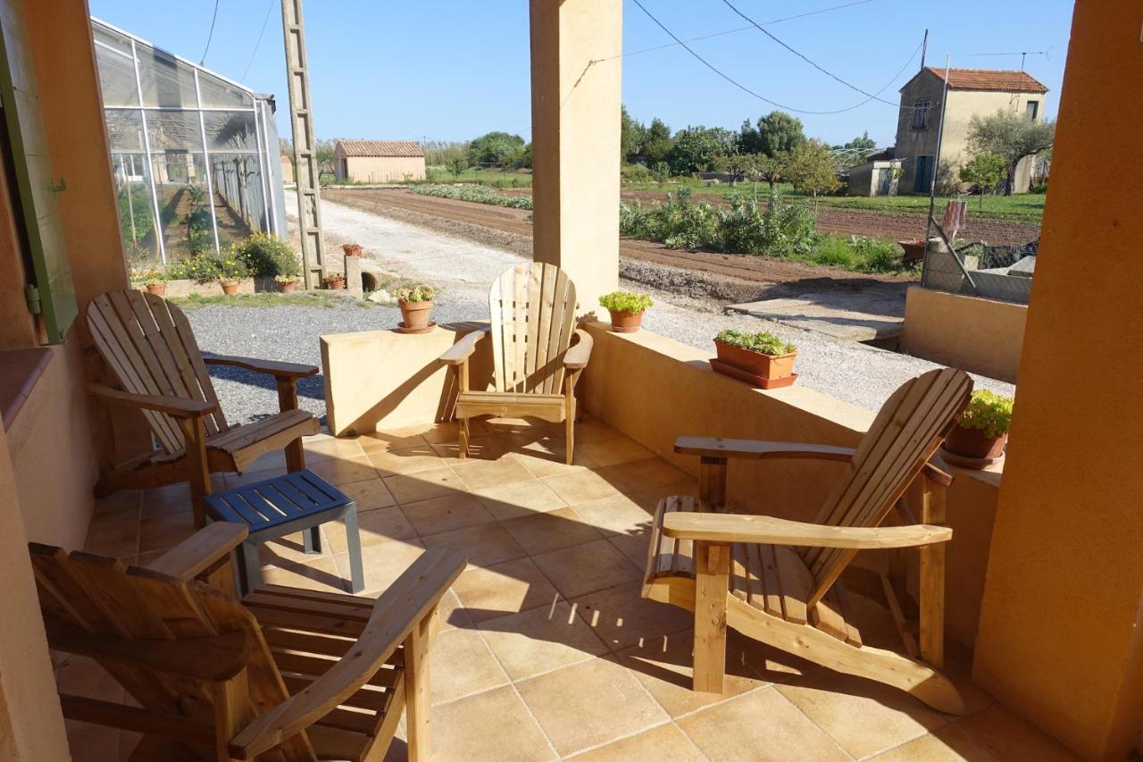 Gîte du Pagoulin - Gîte Hyères Extérieur photo