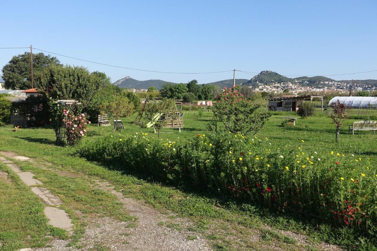 Gîte du Pagoulin - Gîte Hyères Extérieur photo